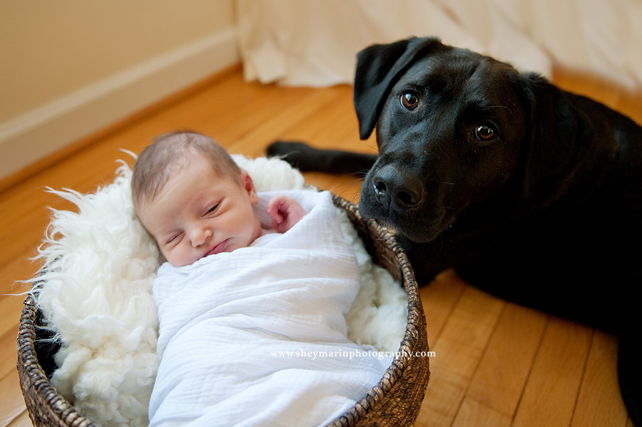 washington dc newborn photographer