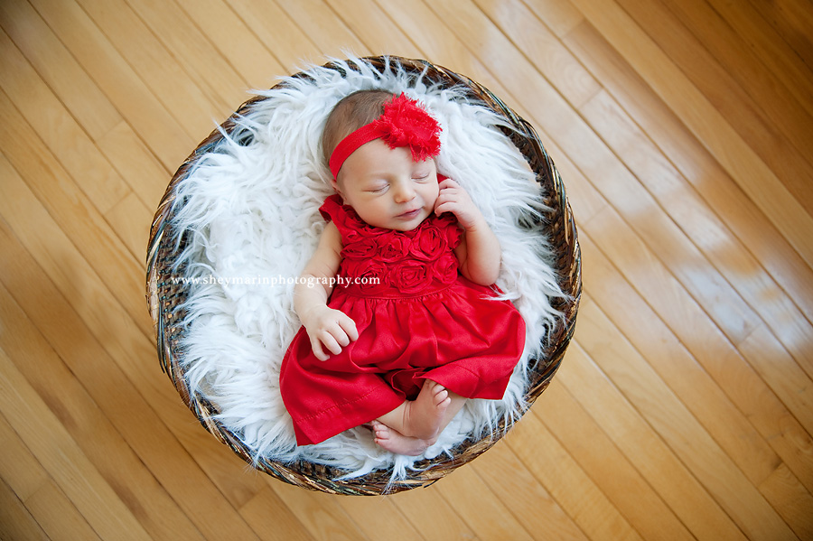 washington dc newborn photographer