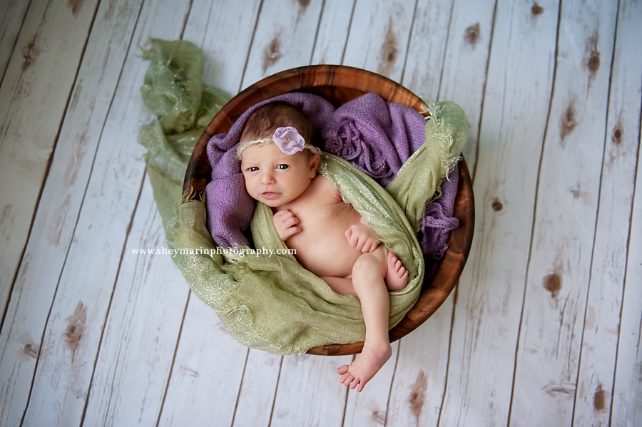 washington dc newborn photographer