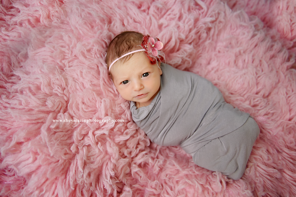 washington dc newborn photographer