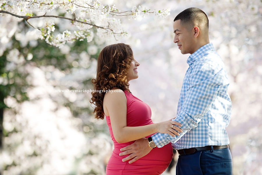 Washington DC maternity photographer