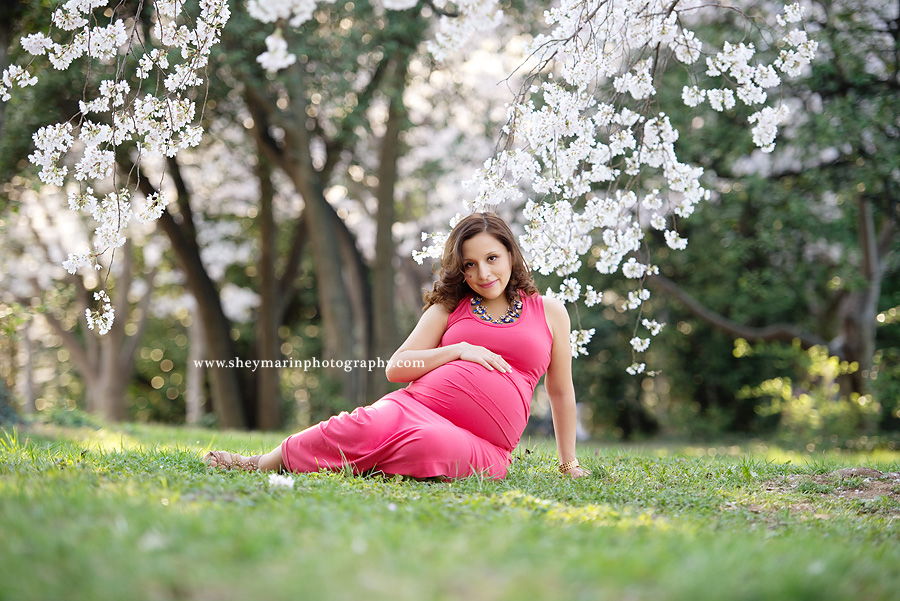 Washington DC maternity photographer