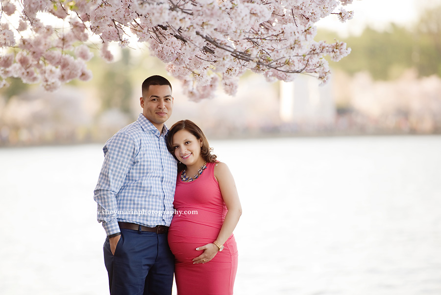 Washington DC maternity photographer