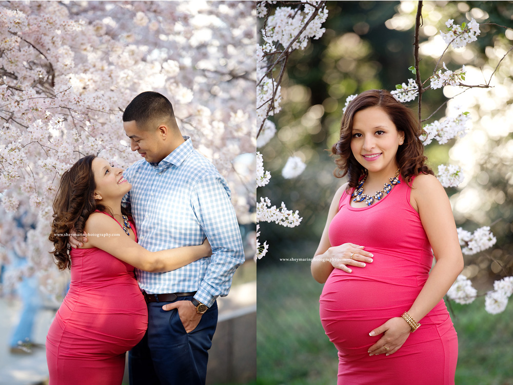 Washington DC maternity photographer