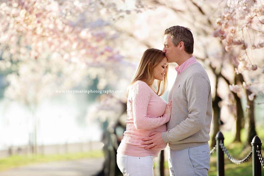 Washington DC Maternity Photographer