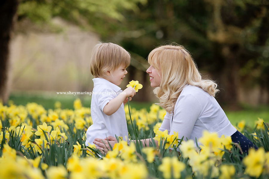 Baltimore Maternity Photographer