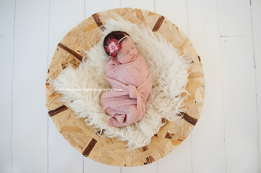 Washington DC Newborn Photographer