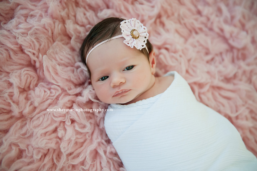 Maryland Newborn Photographer