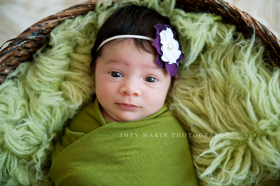 newborn girl in green and purple blankets