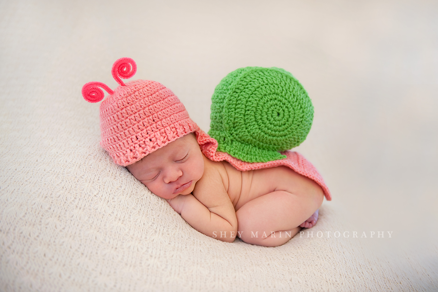 newborn baby girl in snail halloween costume