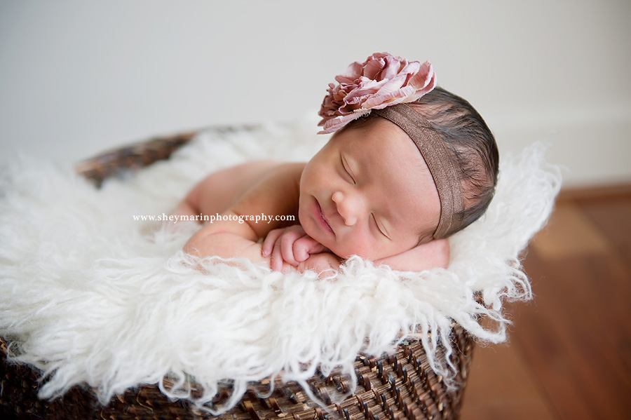 newborn baby girl in basket