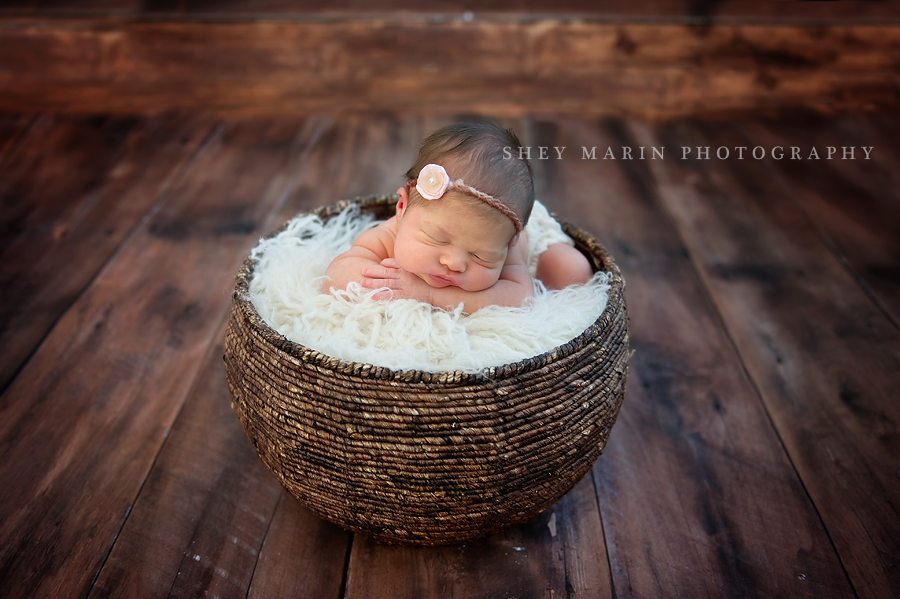 washington DC baby girl in basket