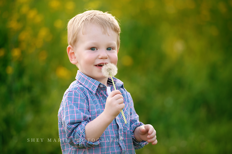 little boy blowing a dandelion