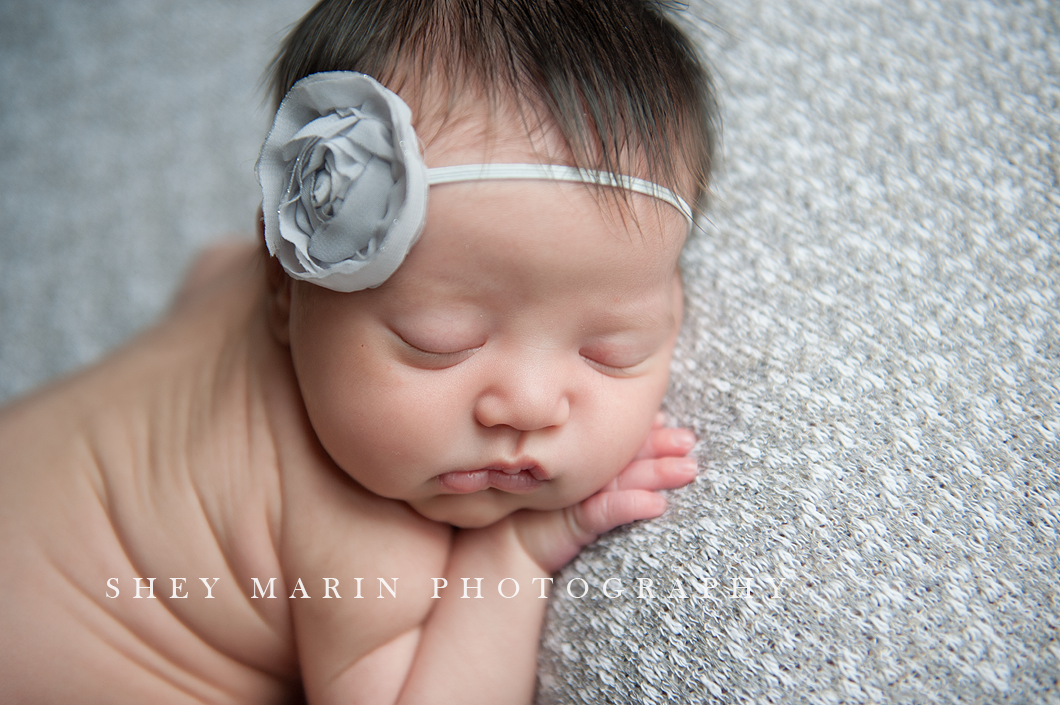 Frederick Maryland newborn photographer