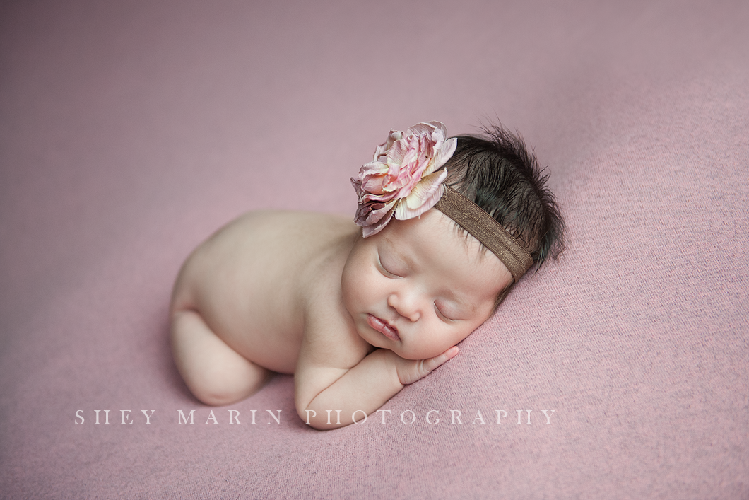 Frederick Maryland newborn photographer