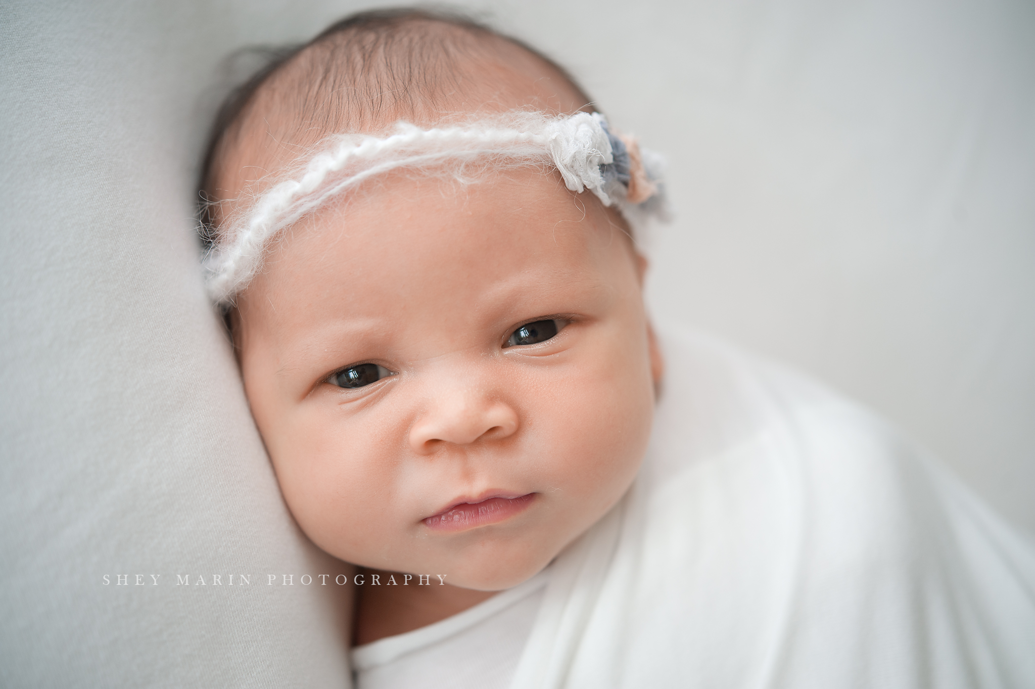 12 day old newborn girl | Washington DC Newborn Photographer