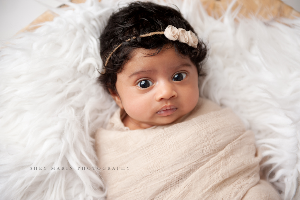 gorgeous newborn | Washington DC baby photographer