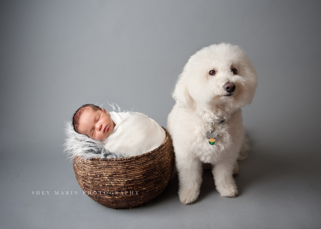 boy beautiful | Washington DC newborn photographer