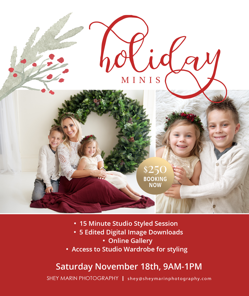 holiday mini session Frederick Maryland family photographer