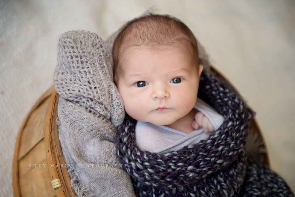 travel newborn photographer | Washington DC baby