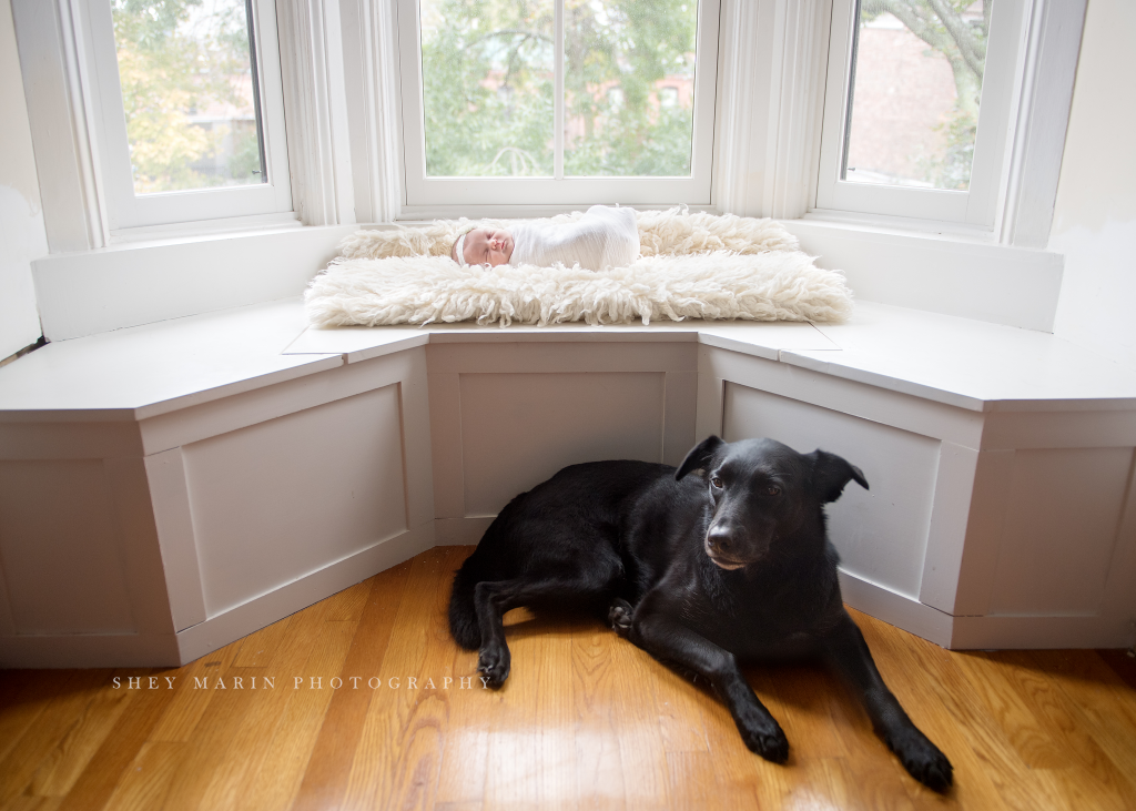 travel newborn photographer | Washington DC baby