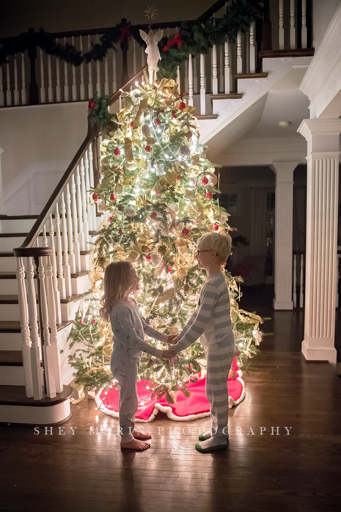 Christmas tree | washington DC family photographer