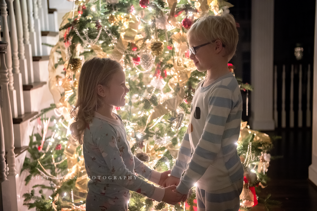 Christmas tree | washington DC family photographer