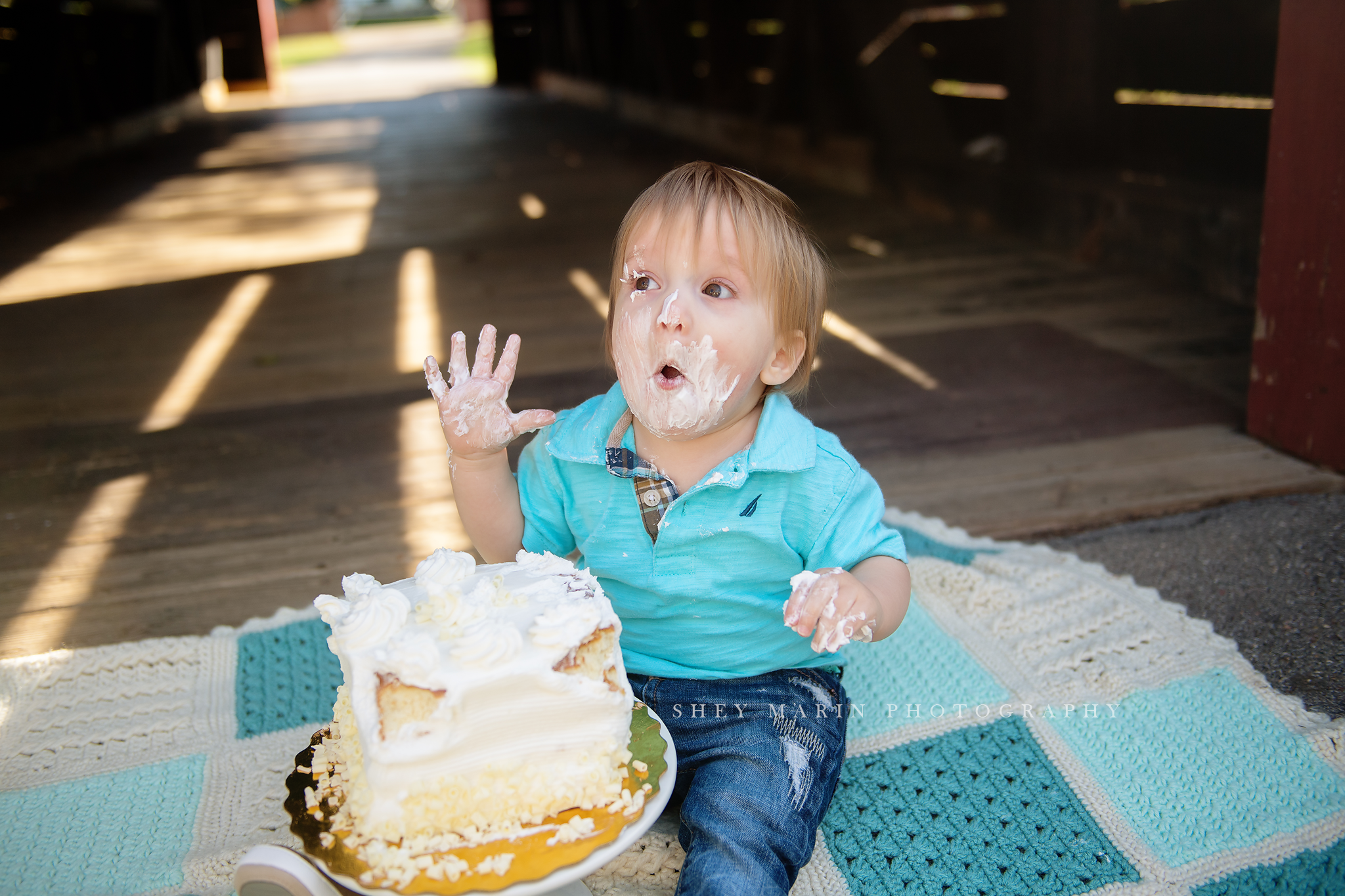 first birthday | frederick md baby photographer