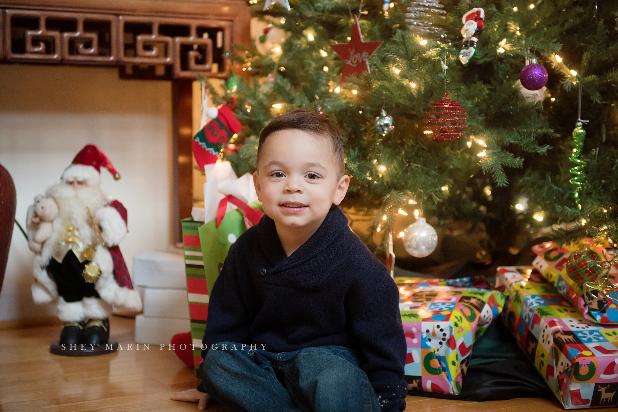 Frederick Maryland Christmas Family photographer