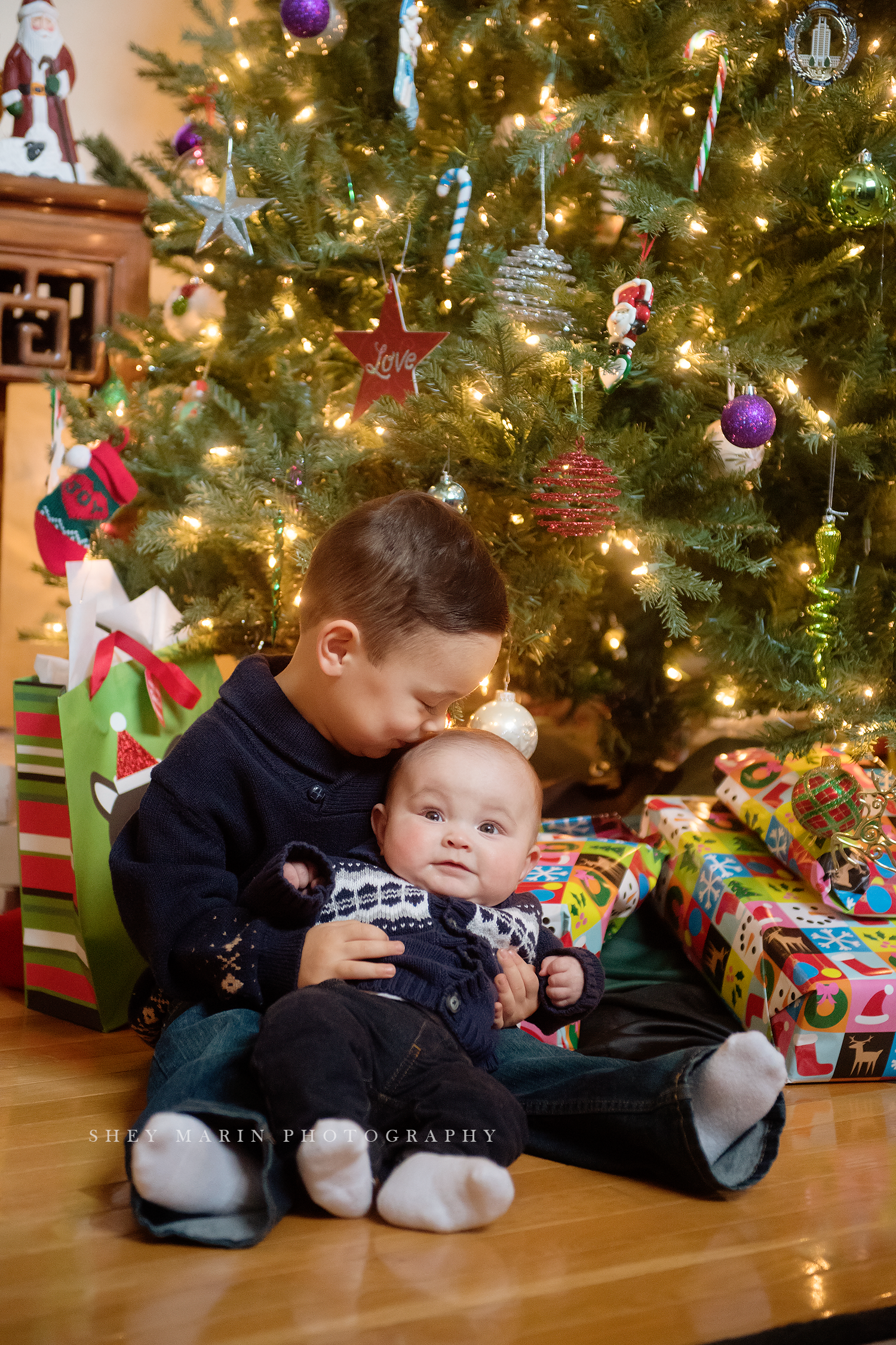 Frederick Maryland Christmas Family photographer