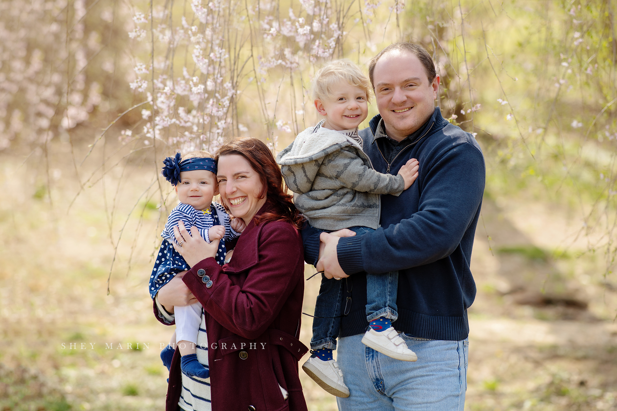 weeping cherries washington DC family photographer