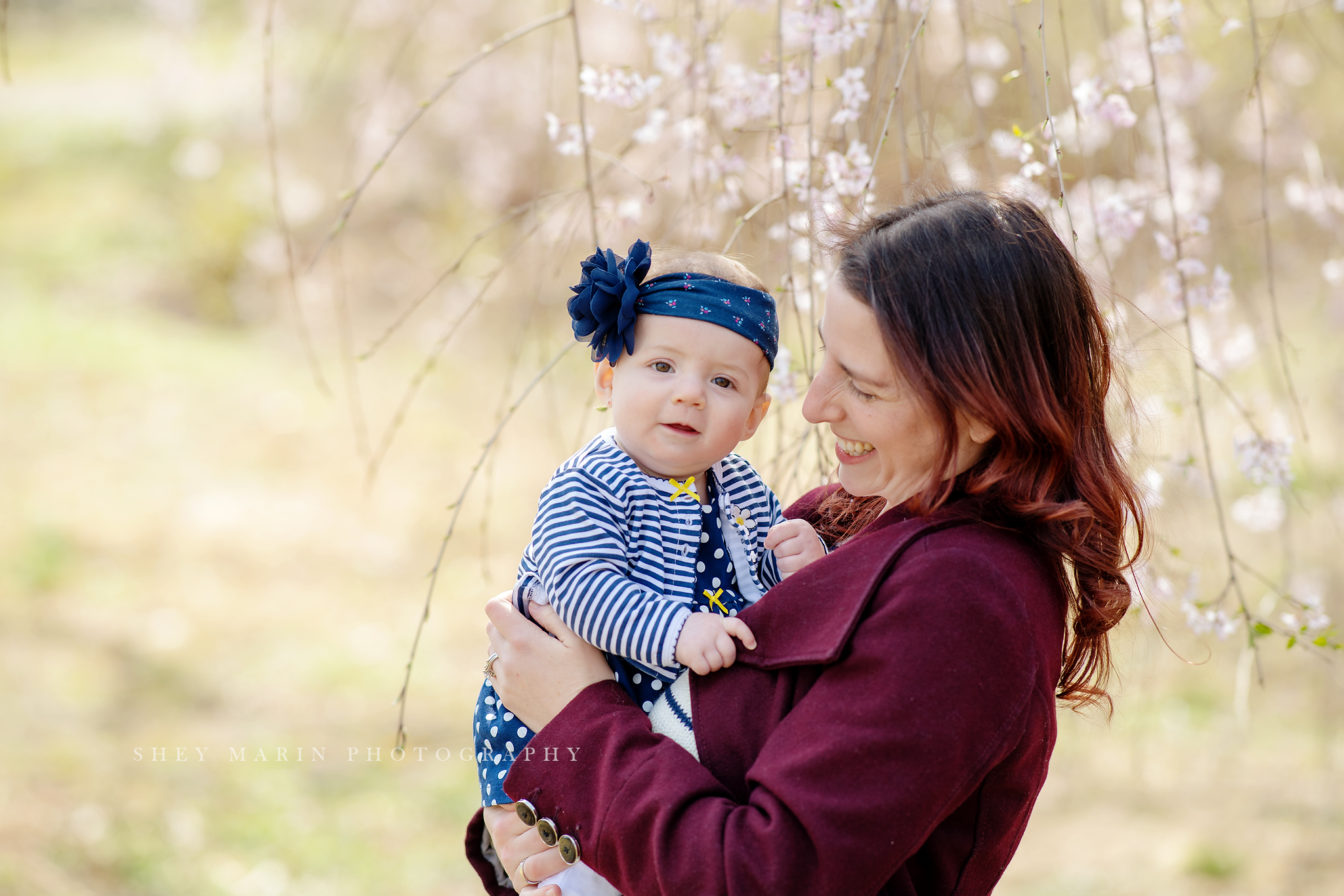 weeping cherries washington DC family photographer