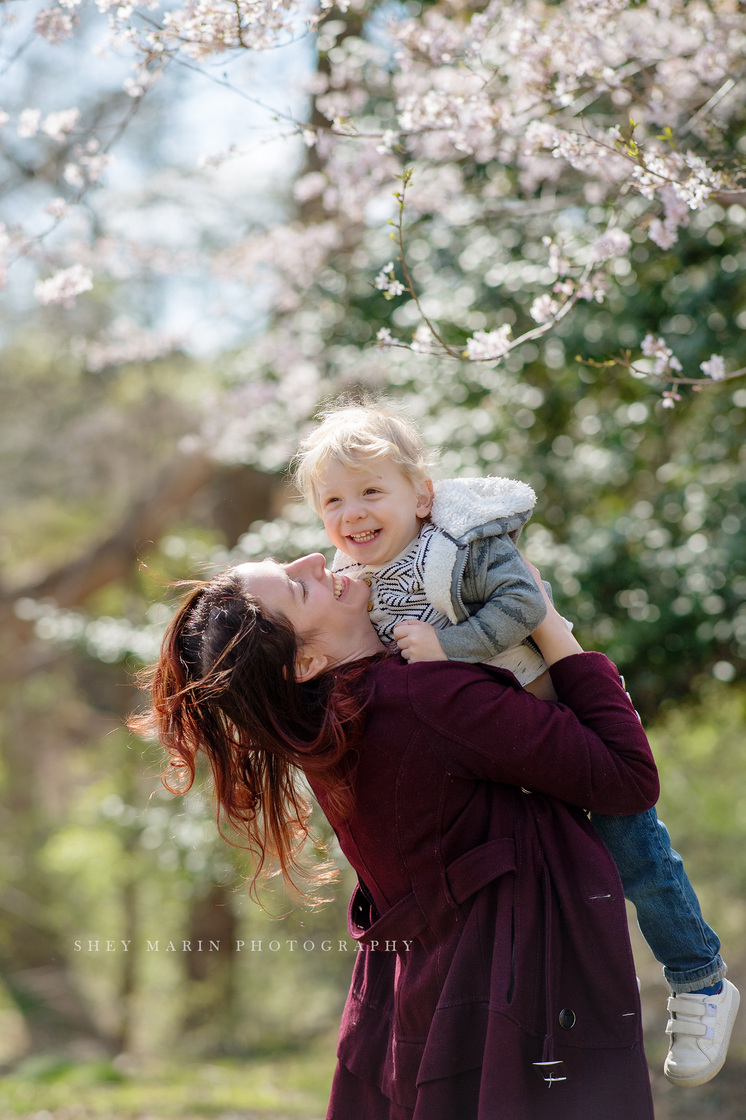 weeping cherries washington DC family photographer