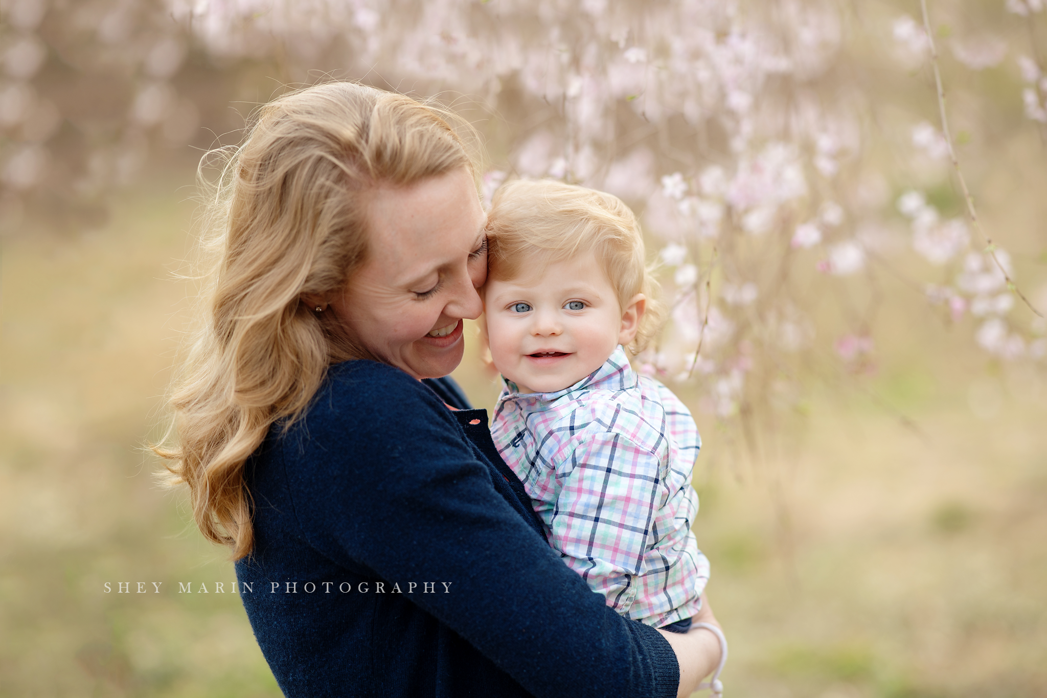 Spring cherry blossom family photosession Washington DC