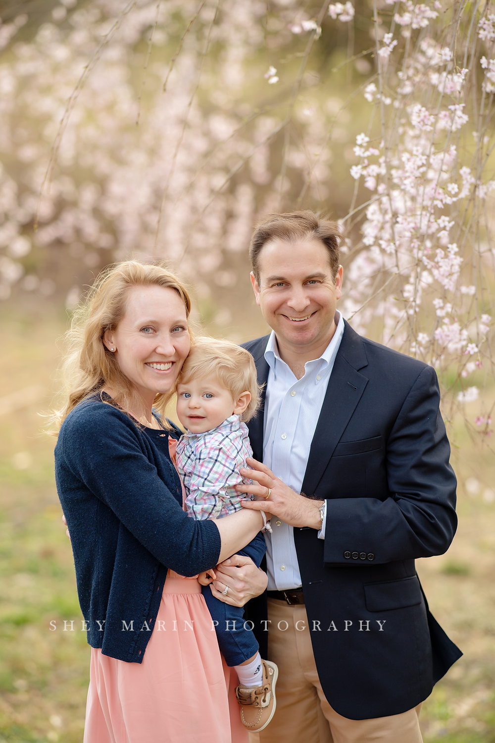 Spring cherry blossom family photosession Washington DC