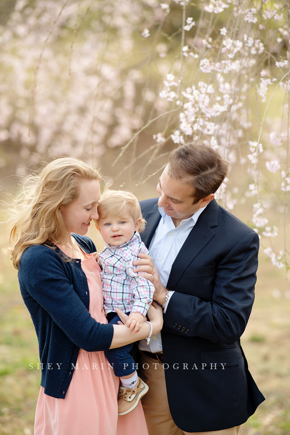 Spring cherry blossom family photosession Washington DC