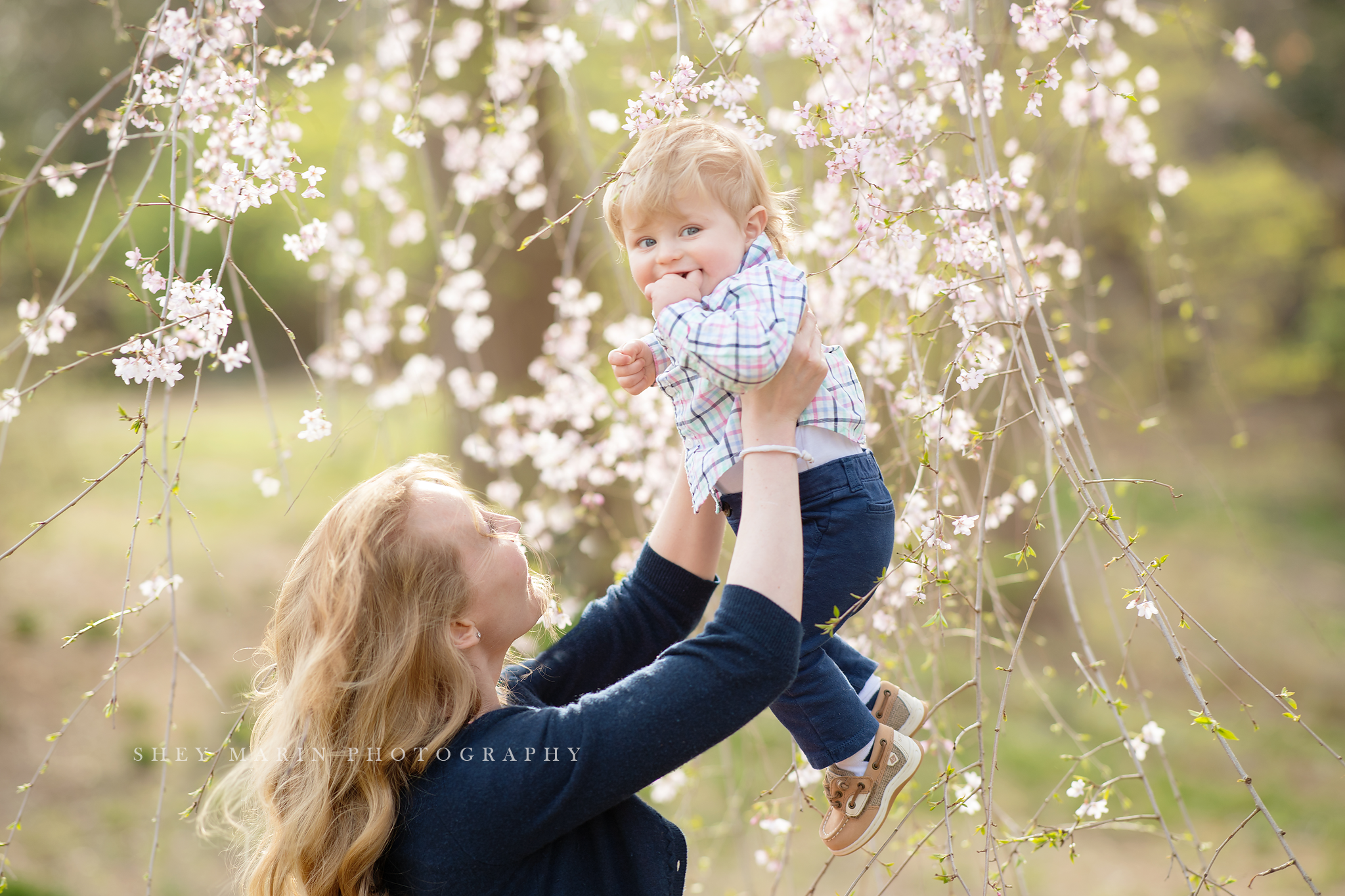 Spring cherry blossom family photosession Washington DC