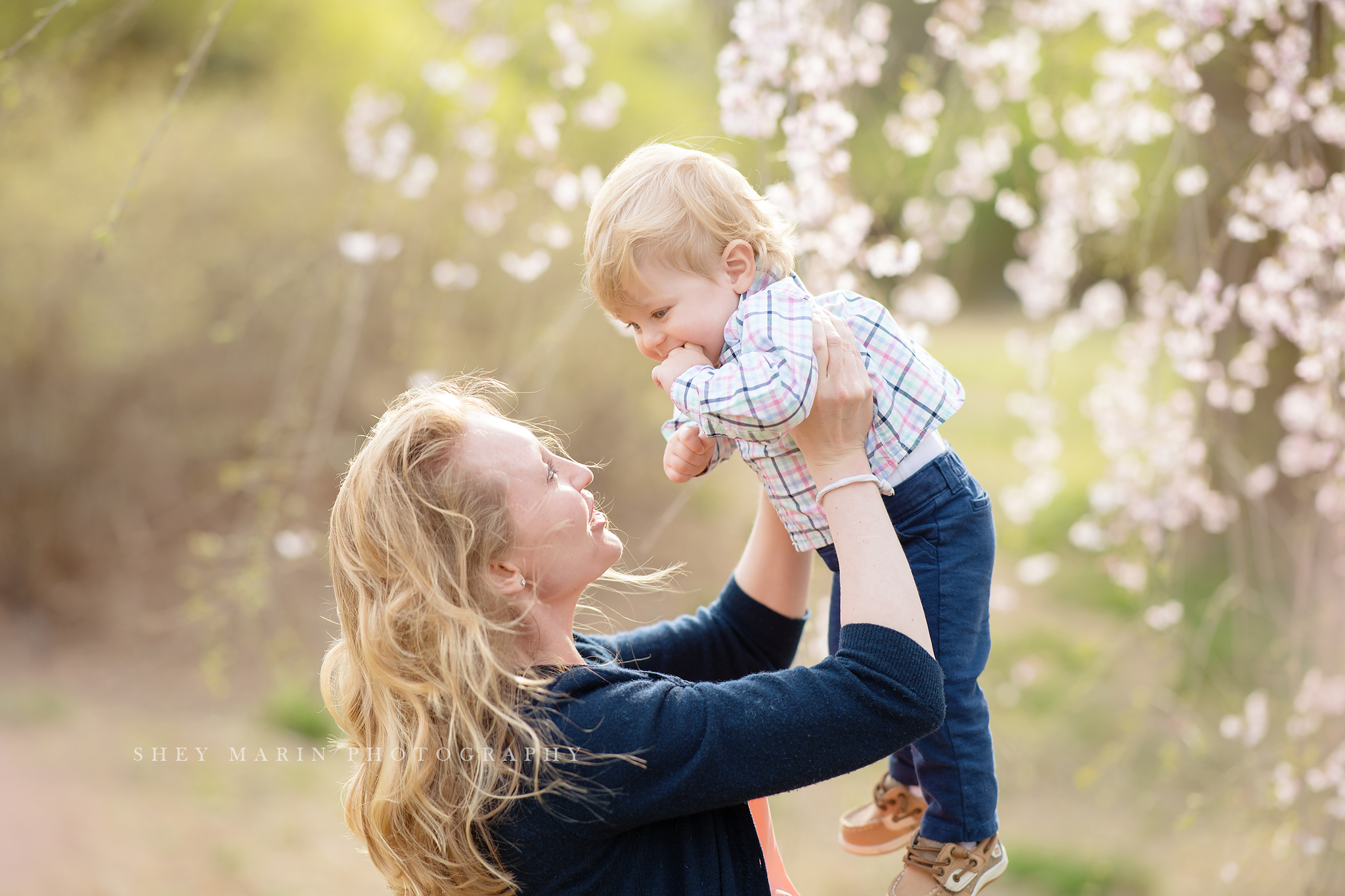 Spring cherry blossom family photosession Washington DC