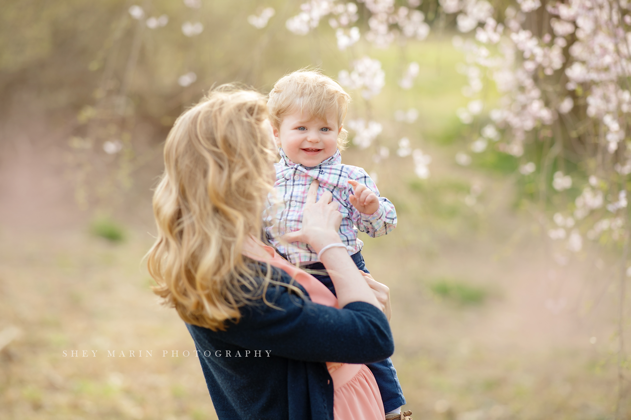 Spring cherry blossom family photosession Washington DC