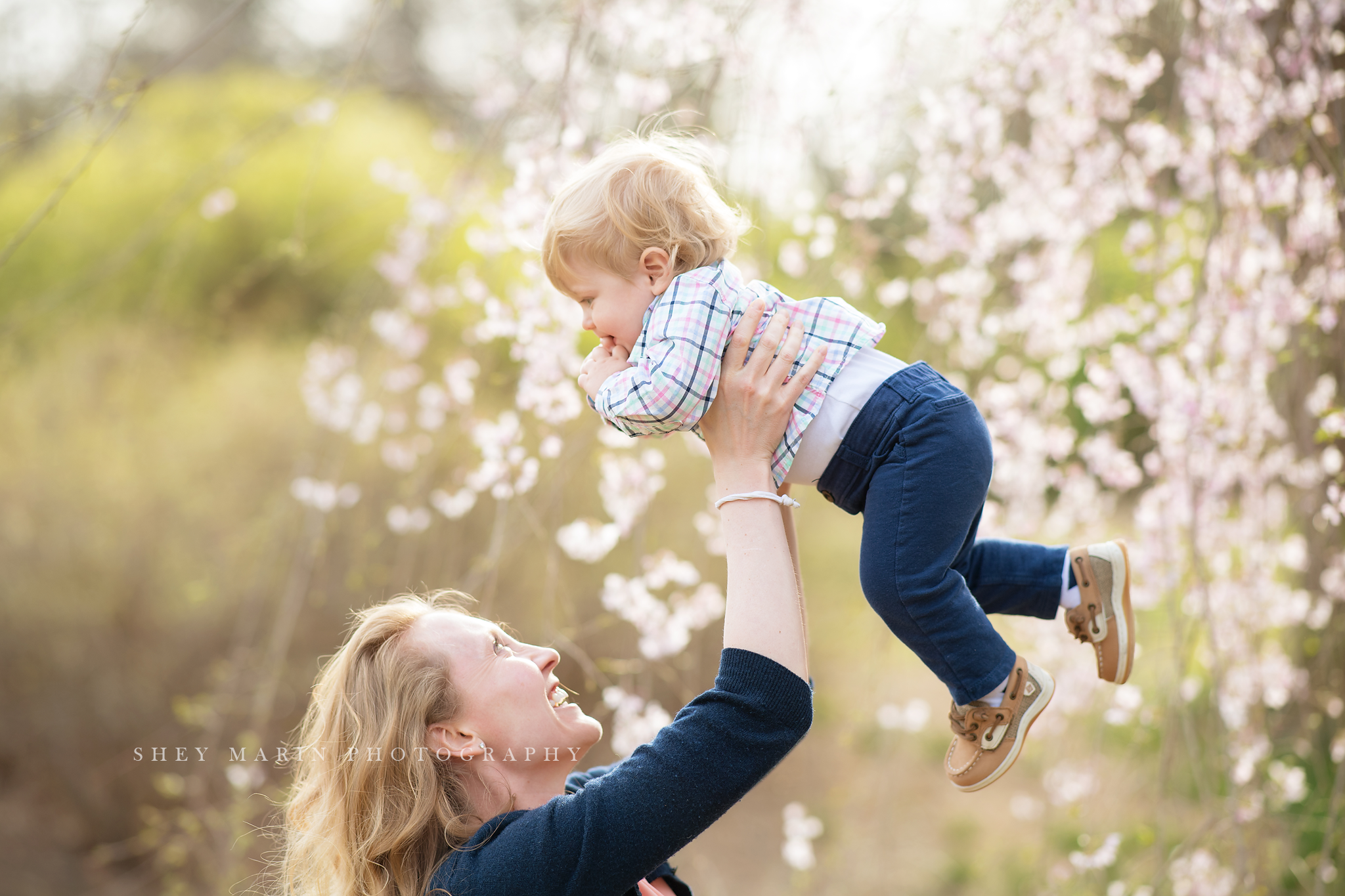 Spring cherry blossom family photosession Washington DC