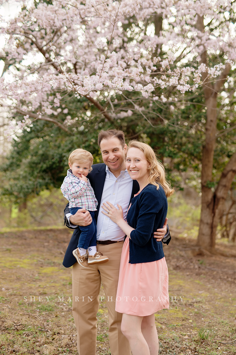 Spring cherry blossom family photosession Washington DC