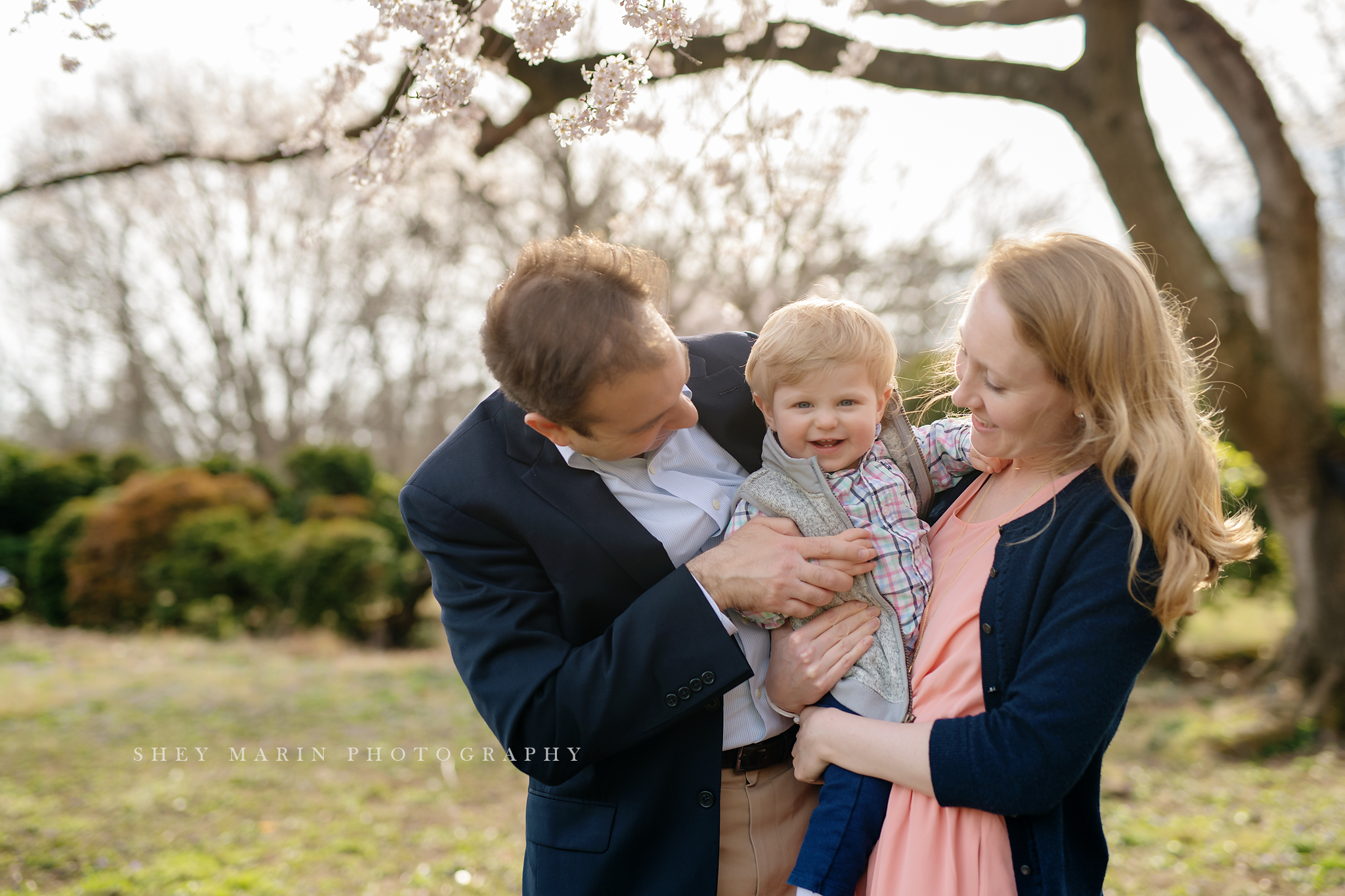 Spring cherry blossom family photosession Washington DC