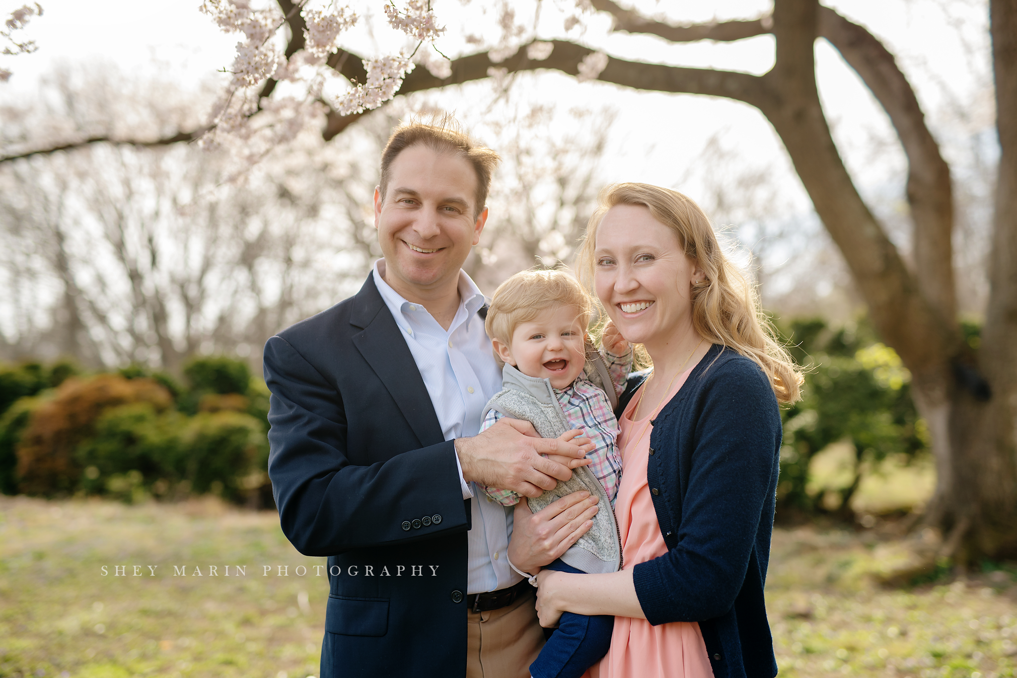 Spring cherry blossom family photosession Washington DC