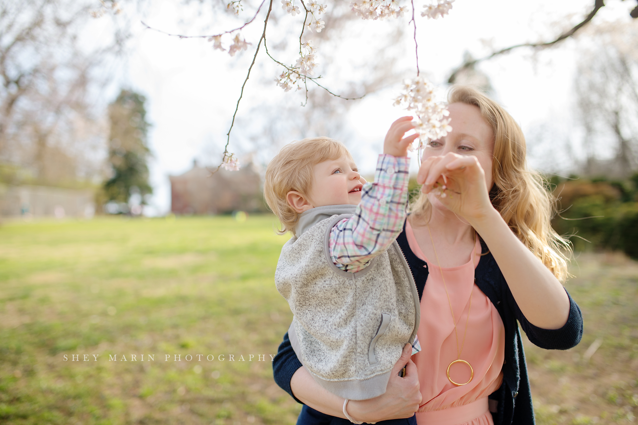 Spring cherry blossom family photosession Washington DC