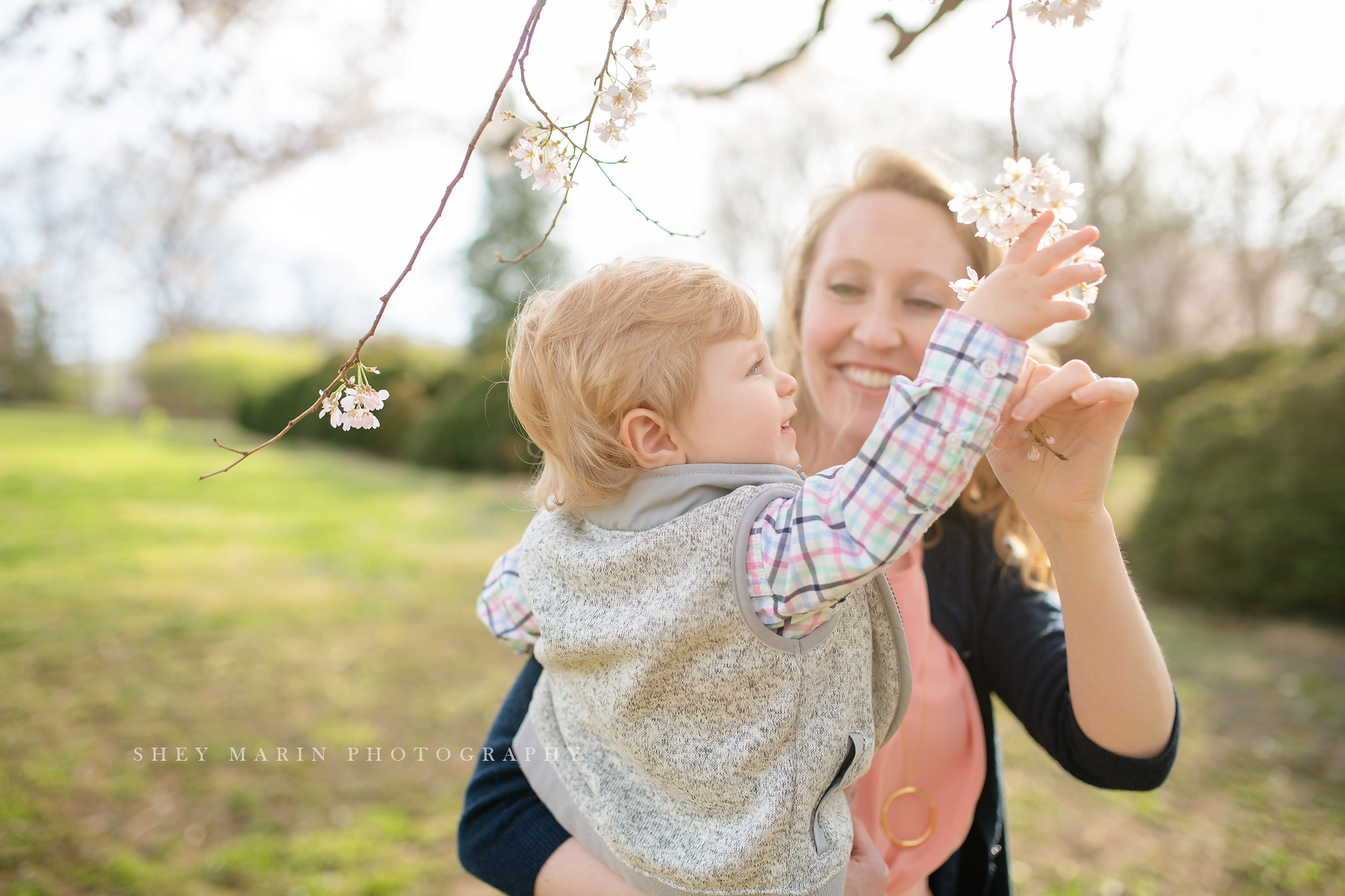 Spring cherry blossom family photosession Washington DC