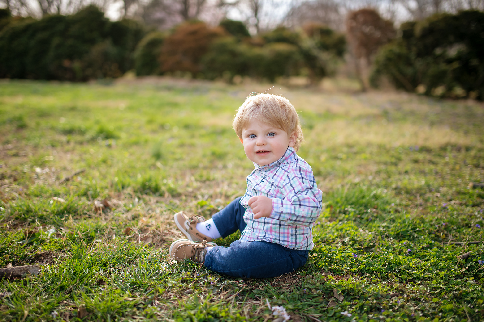 Spring cherry blossom family photosession Washington DC