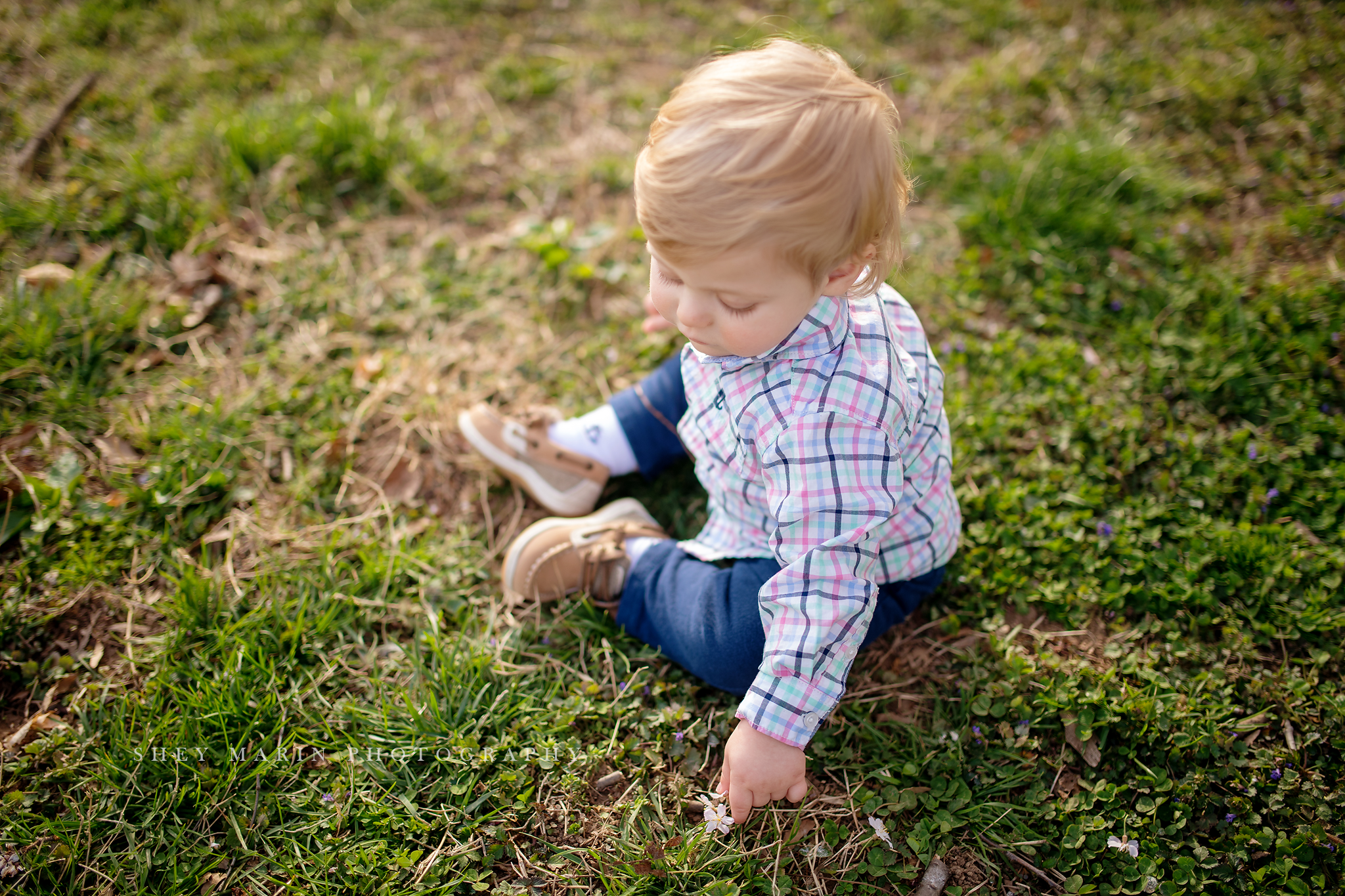 Spring cherry blossom family photosession Washington DC