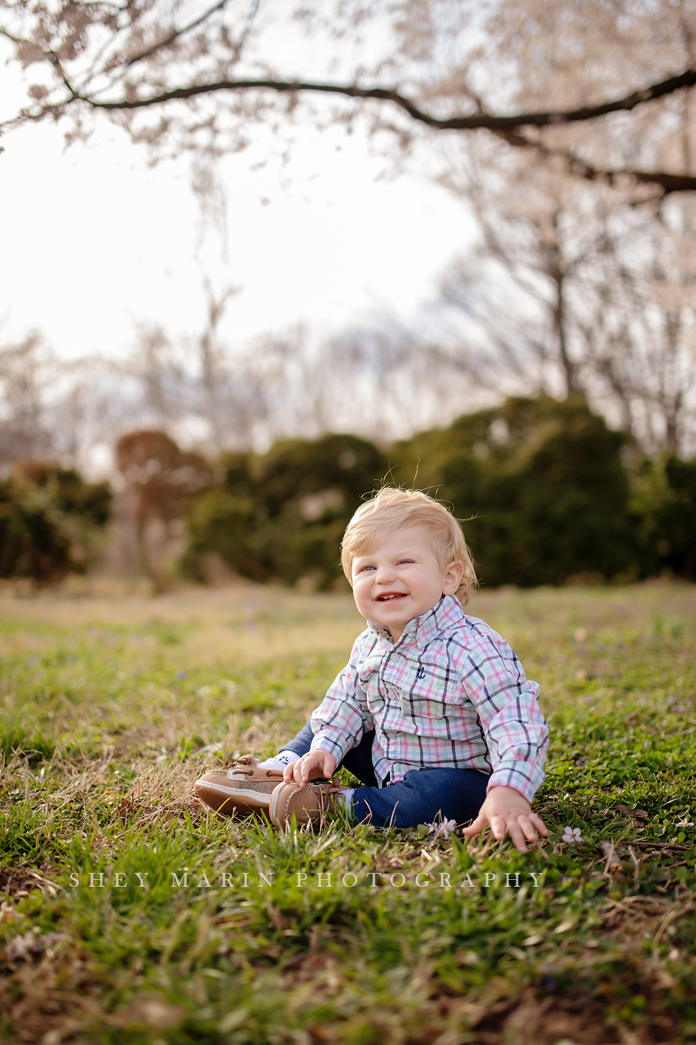 Spring cherry blossom family photosession Washington DC