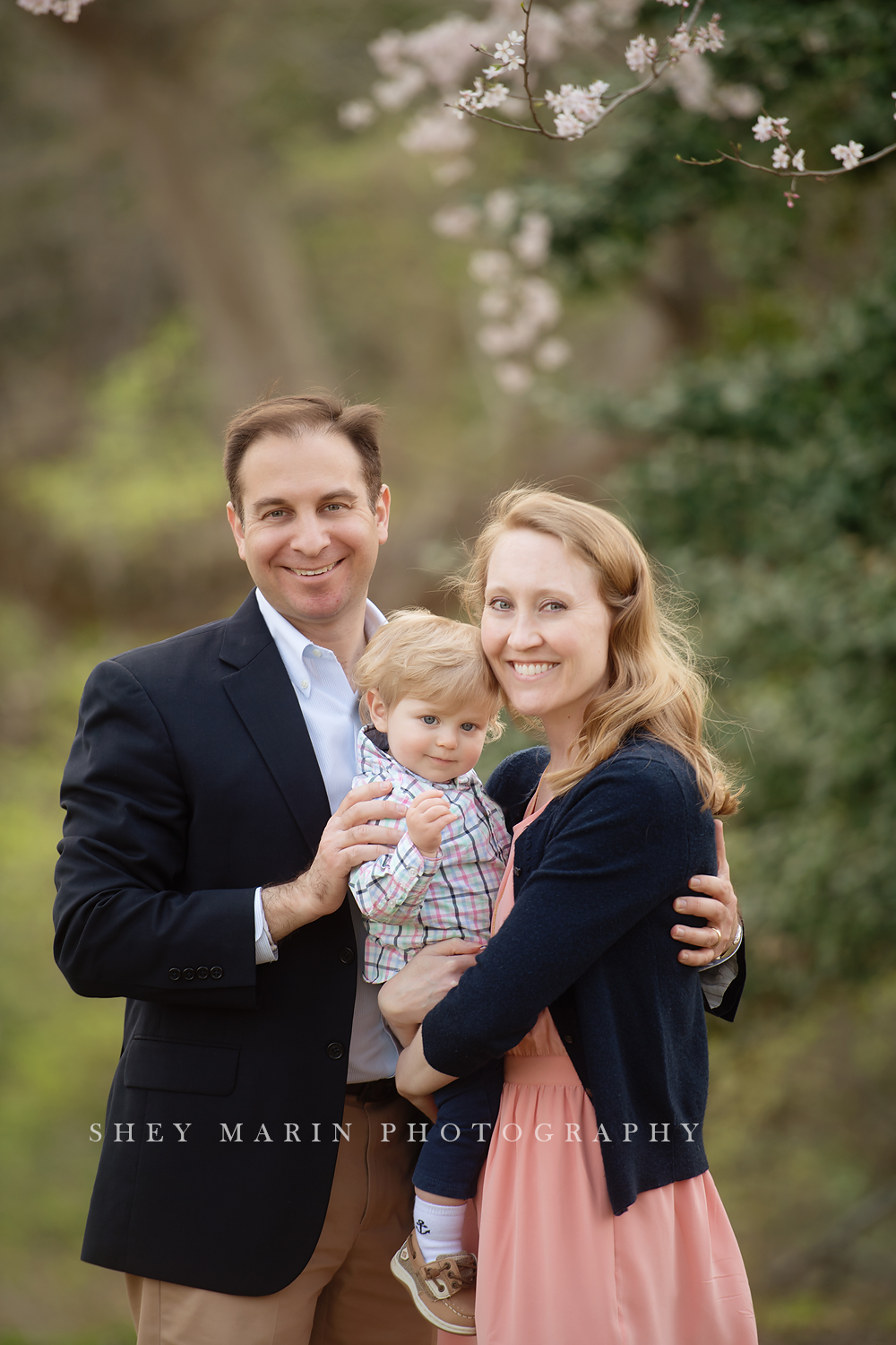 Spring cherry blossom family photosession Washington DC