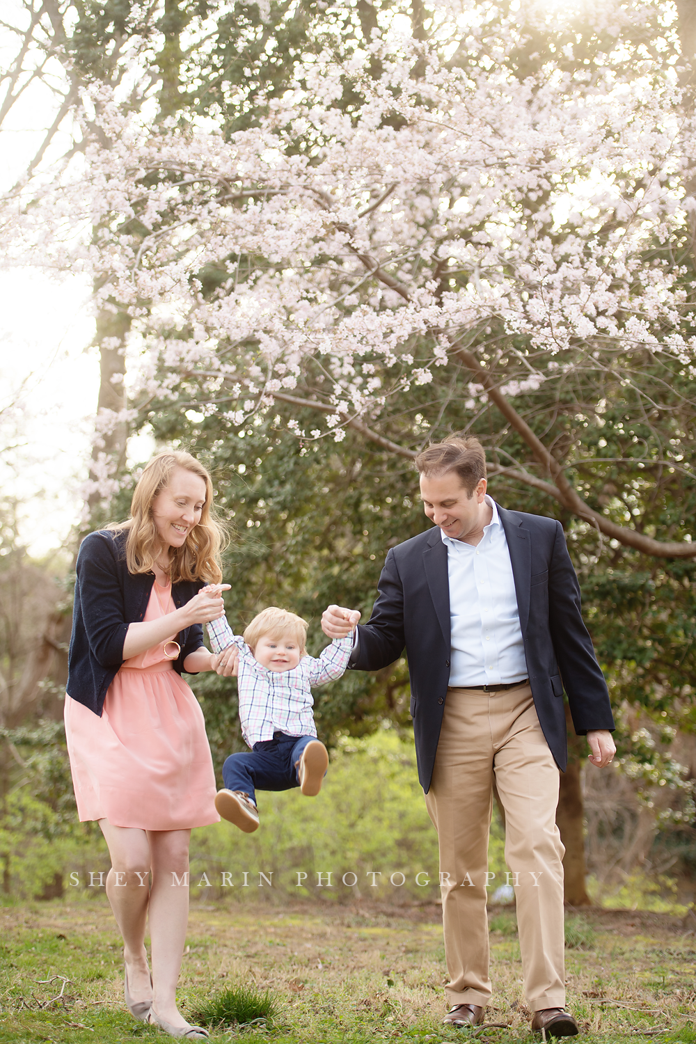 Spring cherry blossom family photosession Washington DC